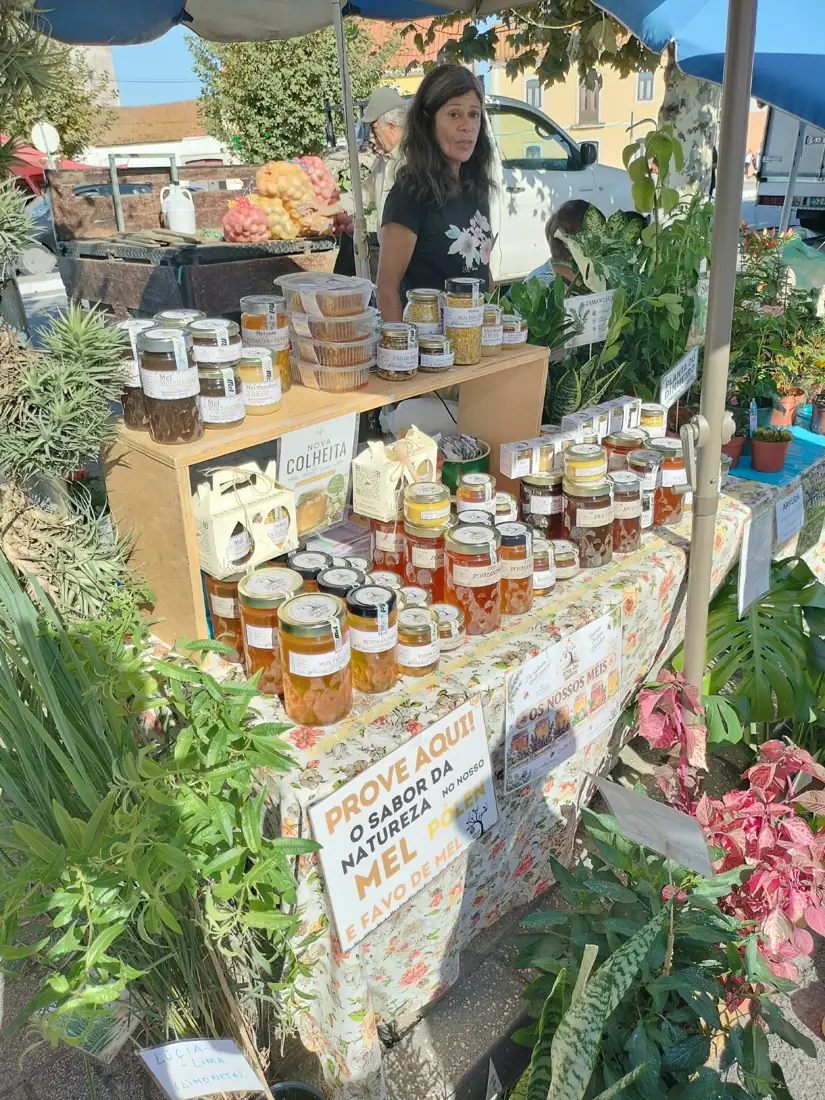 Banca da Artes das Abelhas com produtos da colmeia e plantas numa feira